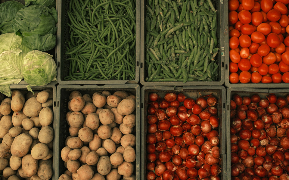 Supply Chain & Distribution